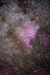 NGC700021 copy.jpg (114205 bytes)