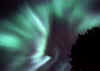 aurora face.jpg (49835 bytes)
